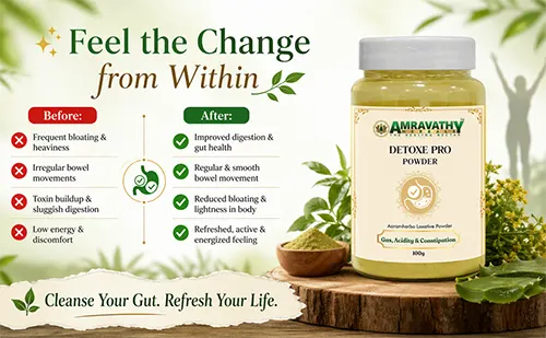 Detoxe Pro Powder