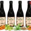 Buy Sea Buckthorn Juice enriched with Amla, Aloe Vera & Ashwagandha