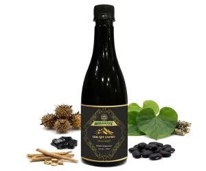 Shilajit lixpro-testosterone booster