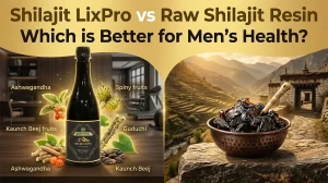 Shilajit LixPro vs Raw Shilajit Resin comparison
